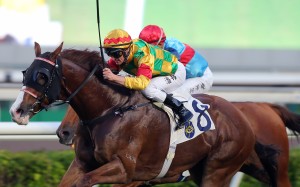 Mighty Giant dashes to victory at Sha Tin on Thursday. Photos: Kenneth Chan