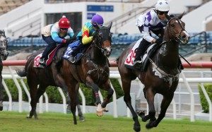 Give Way Please charges up the straight under Keith Yeung. Photos: Kenneth Chan