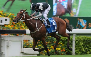 Exultant salutes at Group One level last season. Photos: Kenneth Chan