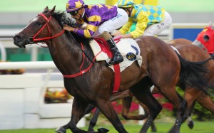 Lucky Express wins at Sha Tin earlier this season. Photos: Kenneth Chan
