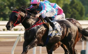 Healthy Happy dashes clear under Chad Schofield to win at Sha Tin on Sunday. Photos: Kenneth Chan