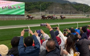 Racing fans at Conghua racecourse. Photo: Noel Prentice