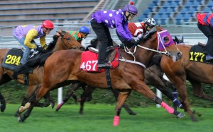 Sun Sun Fa Fa trials under Alvin Ng at Sha Tin in March 2019. Photos: Kenneth Chan