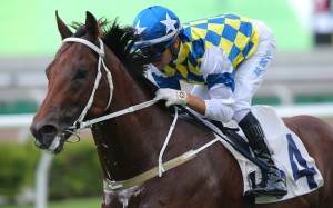 Computer Patch salutes at Sha Tin two weeks ago. Photos: Kenneth Chan