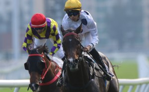 Golden Sixty cruises to victory in the Group Two Oriental Watch Sha Tin Trophy. Photo: Kenneth Chan