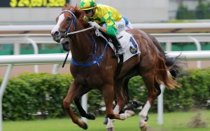 Sky Field salutes at Sha Tin earlier this month. Photos: Kenneth Chan