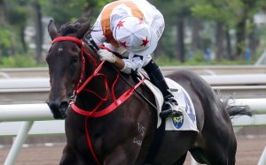 Joao Moreira looks over his shoulder as Courier Wonder cruises to a dominant debut win. Photos: Kenneth Chan