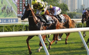 Stronger romps home at Sha Tin. Photos: Kenneth Chan