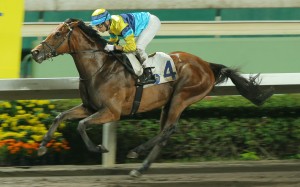 Righteous Doctrine makes it two on the trot at Sha Tin in April. Photos: Kenneth Chan