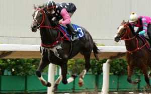 Beauty Legacy wins a trial on the all-weather track in September. Photos: Kenneth Chan