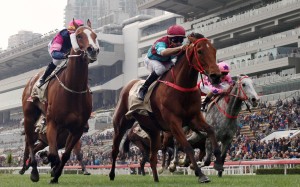 Beat The Clock (centre) goes out as a four-time Group One winner. Photos: Kenneth Chan