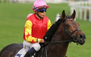 Farhh Above returns under Vincent Ho after winning his first start for Douglas Whyte last season. Photos: Kenneth Chan