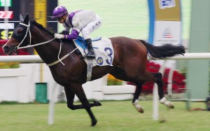 Buddies coasts to victory under Matthew Chadwick at Sha Tin on Saturday. Photos: Kenneth Chan.