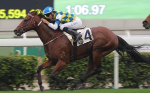 Computer Patch is looking to win at Group Two level for the first time in the Jockey Club Sprint. Photos: Kenneth Chan