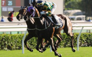 Furore (outside) coasts past Exultant (inside) to win the Jockey Club Cup at Sha Tin on Sunday. Photos: Kenneth Chan