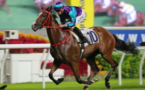 Winning Dreamer makes it five wins on the trot at Sha Tin on Sunday. Photos: Kenneth Chan