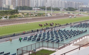Horses race in front of largely empty stands at Sha Tin this season. Photos: Kenneth Chan