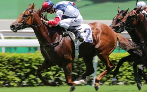 Fast Most Furious salutes at Sha Tin in July. Photos: Kenneth Chan