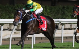 Sky Darci dashes clear to win at Happy Valley earlier in the season. Photos: Kenneth Chan