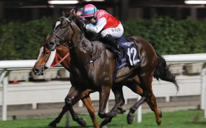 Harmony N Blessed, ridden by Hollie Doyle, wins at Happy Valley on Wednesday night. Photos: Kenneth Chan