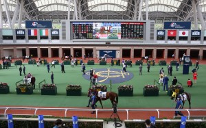 Horses parade at Sha Tin during the Hong Kong International Races. Photos: Kenneth Chan
