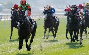 Jerry Chau guides Carroll Street to a debut victory down the Sha Tin straight on Sunday. Photos: Kenneth Chan