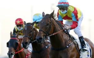 Zac Purton guides Wellington to victory at Sha Tin on Saturday. Photos: Kenneth Chan