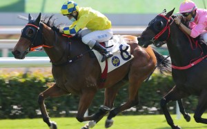 Moon Peaks holds off his rivals to win at Sha Tin on Saturday. Photos: Kenneth Chan