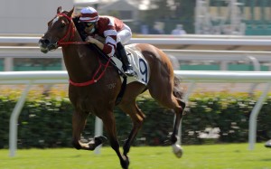 Sight Success salutes at Sha Tin on Saturday. Photos: Kenneth Chan