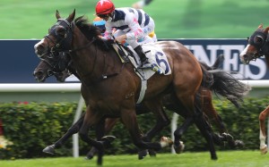 Master Montaro coasts to victory under Zac Purton earlier in the month. Photos: Kenneth Chan