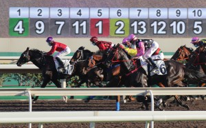 Horses race at Sha Tin on Boxing Day. Photos: Kenneth Chan