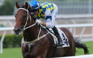 Computer Patch coasts to victory over 1,000m earlier this season. Photos: Kenneth Chan