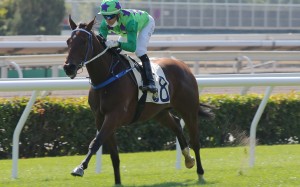 Master Fay dashes clear on debut at Sha Tin. Photos: Kenneth Chan