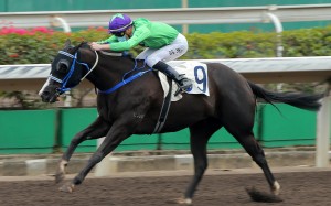 Blake Shinn drives home Supreme Patrol at Sha Tin on Sunday. Photos: Kenneth Chan