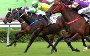 Sky Darci (yellow silks) wins the Class One Chevalier Cup at Sha Tin in November. Photos: Kenneth Chan