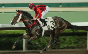 Kings Shield wins easily on the Sha Tin all-weather surface earlier in the season. Photos: Kenneth Chan