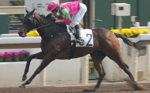 Joao Moreira steers Elusive State to victory at Sha Tin on Sunday. Photos: Kenneth Chan