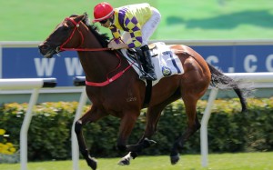 Joao Moreira guides Fantastic Way to a debut victory at Sha Tin on Sunday. Photos: Kenneth Chan