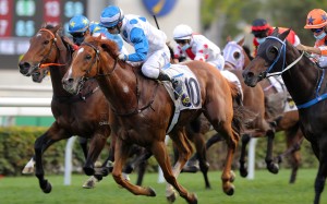 Matthew Chadwick lifts Casimiro to victory at Sha Tin on Sunday. Photos: Kenneth Chan