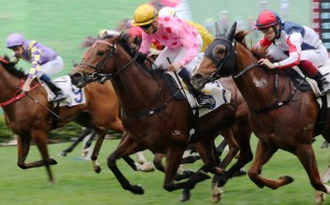 Vincent Ho guides Preciousship to victory last season. Photos: Kenneth Chan