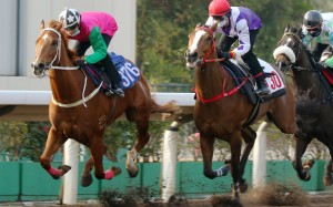 Joyful Fortune dashes clear in a recent barrier trial under Joao Moreira. Photos: Kenneth Chan