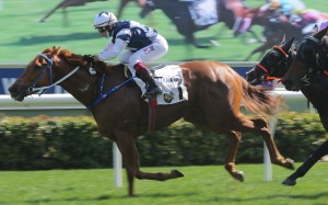 The Rock delivers at Sha Tin on Saturday. Photos: Kenneth Chan