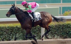 Elusive State coasts to victory on the Sha Tin all-weather track last month. Photos: Kenneth Chan