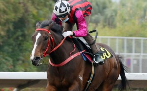 Joao Moreira trials Waikuku at Sha Tin on Tuesday morning. Photos: Kenneth Chan