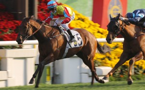 Wellington salutes at Sha Tin on Sunday. Photos: Kenneth Chan
