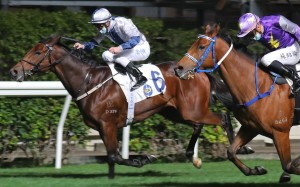 Zac Purton boots Maldives (inside) to victory at Happy Valley last month. Photos: Kenneth Chan