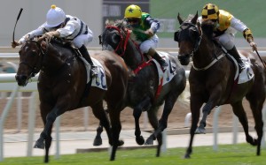Joao Moreira urges Panfield home at Sha Tin on Sunday. Photo: Kenneth Chan