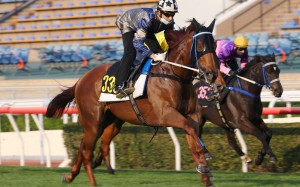 Joao Moreira guides Aethero to victory in a barrier trial on Tuesday morning. Photos: Kenneth Chan