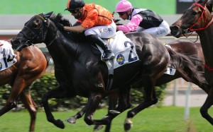 Simply Spectacular storms to victory at Sha Tin on Sunday. Photos: Kenneth Chan