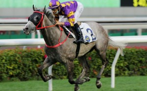 Joao Moreira guides Silver Express to victory at Sha Tin on Sunday. Photos: Kenneth Chan